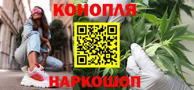 прущий лед Будённовск