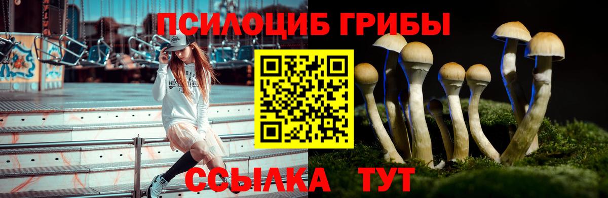 Галлюциногенные грибы прущие грибы  где купить наркоту  Туапсе  Вход с VPN 