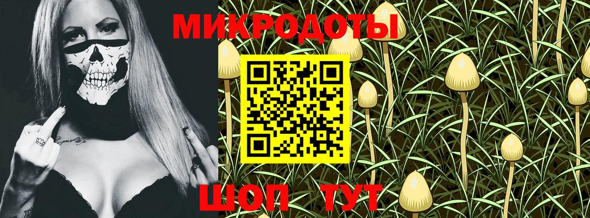 Псилоцибиновые грибы ЛСД Туапсе